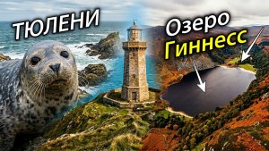 ИРЛАНДИЯ, в которую влюбляешься🇮🇪Тюлени🦭Маяки💡Озеро ГИННЕСС☘️ Beach Cliff Walk🚶♂️Горы WIcklow⛰