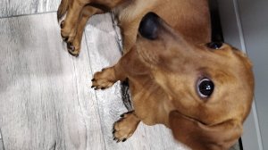 Готовим окрошку