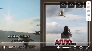 «Алло» Авторская песня Светланы Давыдовой. Посвящается павшим Героям СВО.