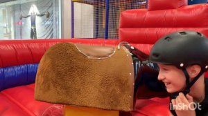 братья и бык август 2019