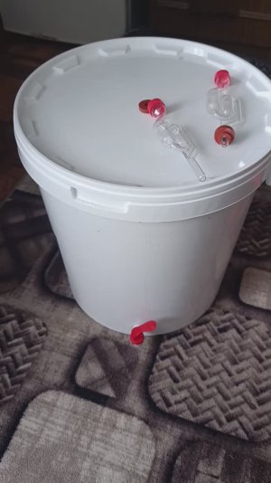 Емкости для брожения вина