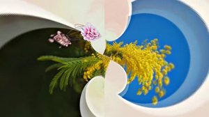 Весна! Мимозы для моей очаровательной ЗАНОЗЫ 5! Киностудия Мудрого Кота Тимофея!