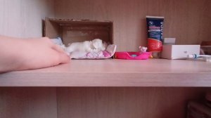 ПЕРЕСТАНОВКА В ДОМИКЕ СКВИШ СОБАЧКИ