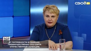 По яровым и зернобобовым культурам на Ставрополье подготовлено 106% от потребности в семенах