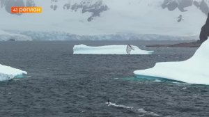 КАМЧАТЦЫ ГОТОВЯТ ФИЛЬМ ОБ ЭКСПЕДИЦИИ КАЙТЕРОВ В АНТАРКТИДУ • НОВОСТИ КАМЧАТКИ
