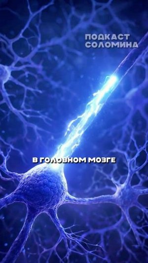 Влияние спирта и никотина на мозг | Лазарев | Полный выпуск на канале «Глеб Соломин»