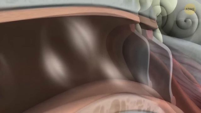 Ученые создали аудиопучок, который путешествует по воздуху специально для вас