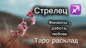 СТРЕЛЕЦ ‼️23 марта -5 апреля ТАРО расклад 💕три сферы