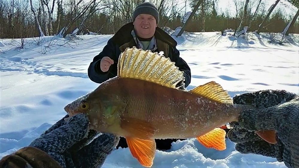 ТАКАЯ РЫБАЛКА БЫВАЕТ НЕ ЧАСТО, РАЗ В 4 ГОДА)! ОКУНЬ, СОРОГА, ЯЗЬ И ДАЖЕ МОХТИК В ЭТОТ ДЕНЬ КЛЕВАЛИ!