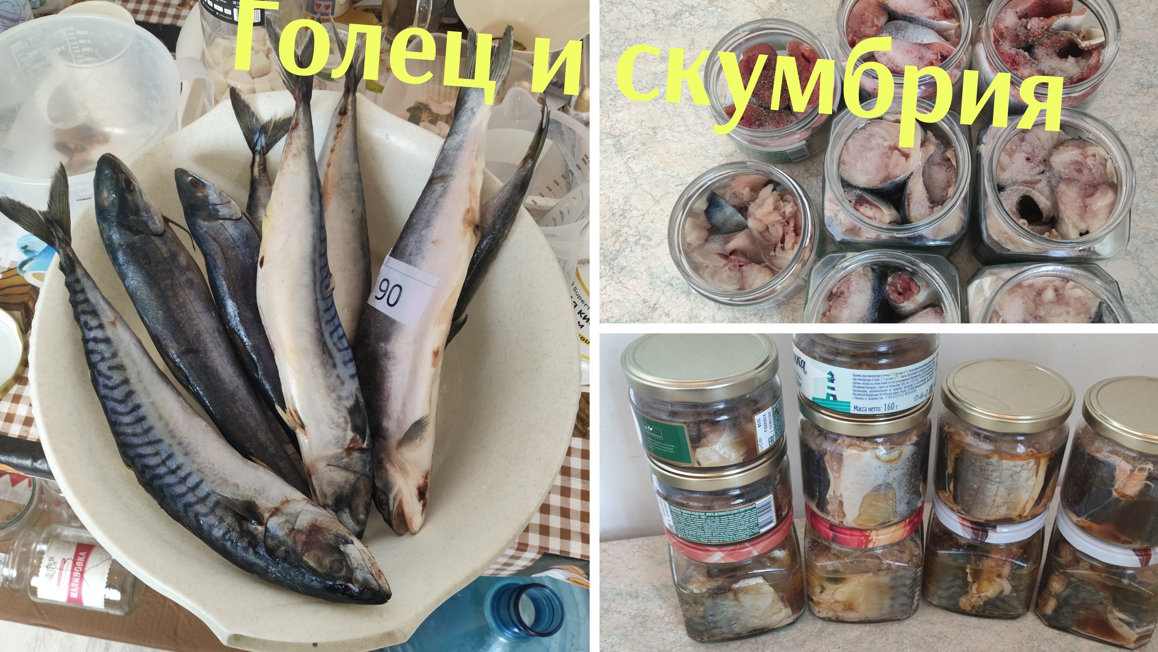 РЫБНЫЕ КОНСЕРВЫ НА ВСЕ СЛУЧАИ ЖИЗНИ,ИЛИ ПРОСТО ДЛЯ ДУШИ,ПОГНАЛИ ДРУЗЬЯ!