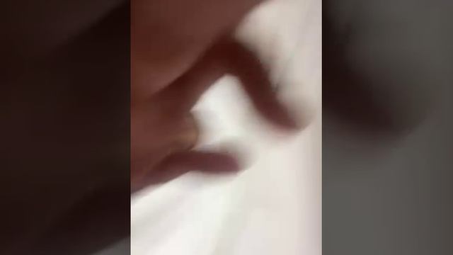 79632495884__D14F97C7-721B-4748-BCD7-B59E00329ED4школа