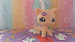 Небольшое разговорное видео! 8-ой видосек! СПАСИБО ВАМ ОГРОМНОЕ ЗА 5 ПОДПИСЧИКОВ! Я ВАС ТАК ЛЮБЛЮ❤😘