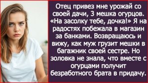 ИСТОРИИ ИЗ ЖИЗНИ|Золовка приехала за урожаем моих|РЕАЛЬНЫЕ ИСТОРИИ|ЖИЗНЕННЫЕ ИСТОРИИ