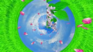 Весна! Полёт цветочных лепестков 10! Киностудия Мудрого Кота Тимофея!