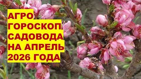 Самые Лучшие Дни для Посадки Саженцев и Прививки Садовых Растений в Апреле 2026го!