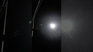 Я и друг сосед