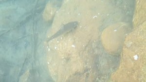 Отец рыбачит