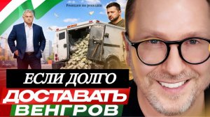 Шарий: Если долго доставать венгров… Ответка - (Р-я на Р-ии)