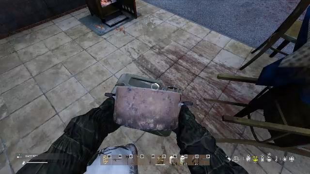 дейз день 13