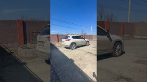 Дом на левом берегу Дона в Ростове на Дону