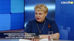 Все озимые зерновые на Ставрополье взошли на 100%. В хорошем состоянии находятся 98% посевов