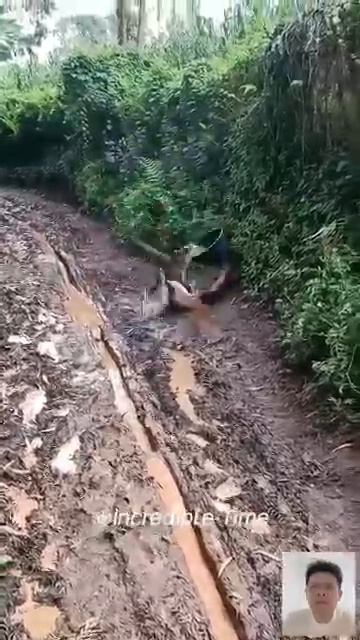 Смешные моменты