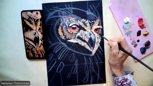 Совушка на черном фоне