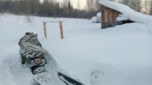 Таёжная пасека -39,крещенские морозы.