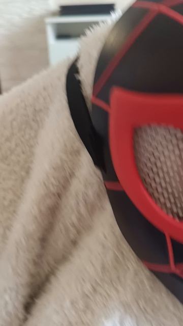 новый вид человека спидрана