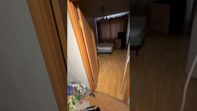 -4603279834594869552