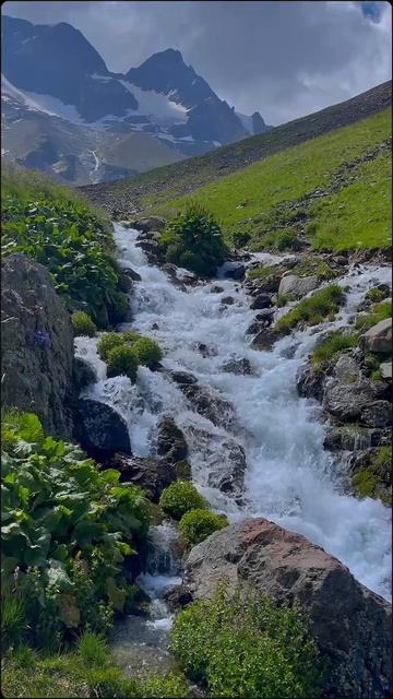 #осетия #горы #кавказ #путешествие #туризм #экскурсия #турывгоры #отдых #россия