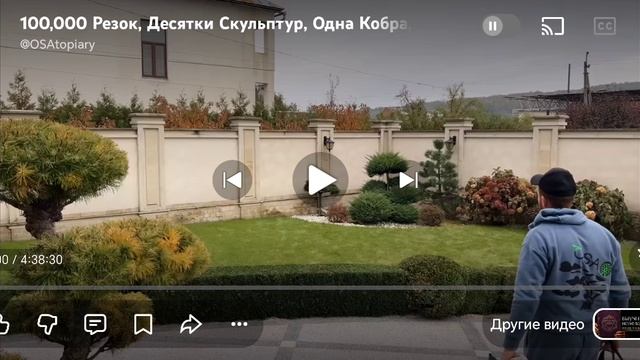 Топиарии,уход за садом не как у всех😎👌+79885185098 Макар Владимирович.