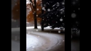 Не случайная встреча ( стихи Корельской Светланы)