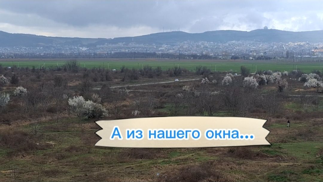 А из нашего окна…