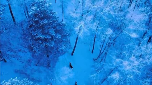 Горы/животные/природа/рай.