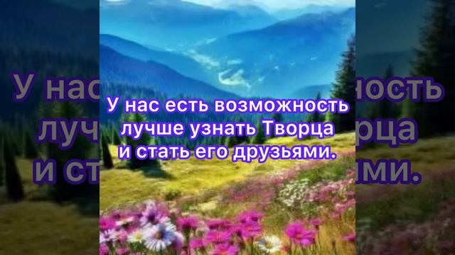 Путь к лучшей жизни !