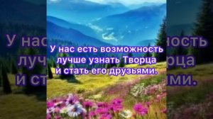 Путь к лучшей жизни !