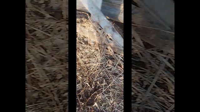 1000150197.mp4 смотреть онлайн