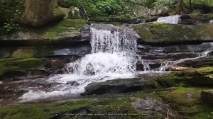 ЭТО ЖЕСТЬ!! РАССТРЕЛ ПОЛИЦЕЙСКИХ ПРИ БУСИФИКАЦИИ. ВОЙНА ЗЕЛЕНСКОГО С НАРОДОМ #новости
