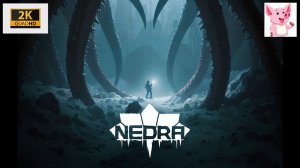 NEDRA