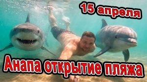 ОБАЛДЕТЬ! В Анапе открывают песчаные пляжи 15 апреля Мираклеон — реальные отзывы сегодня