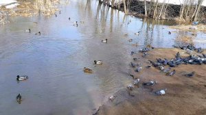 Опять бегу к внукам.Надо выполнить своё обещание.27.03.26 г.