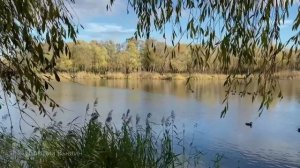 " Старые грехи. "Интересная история из жизни