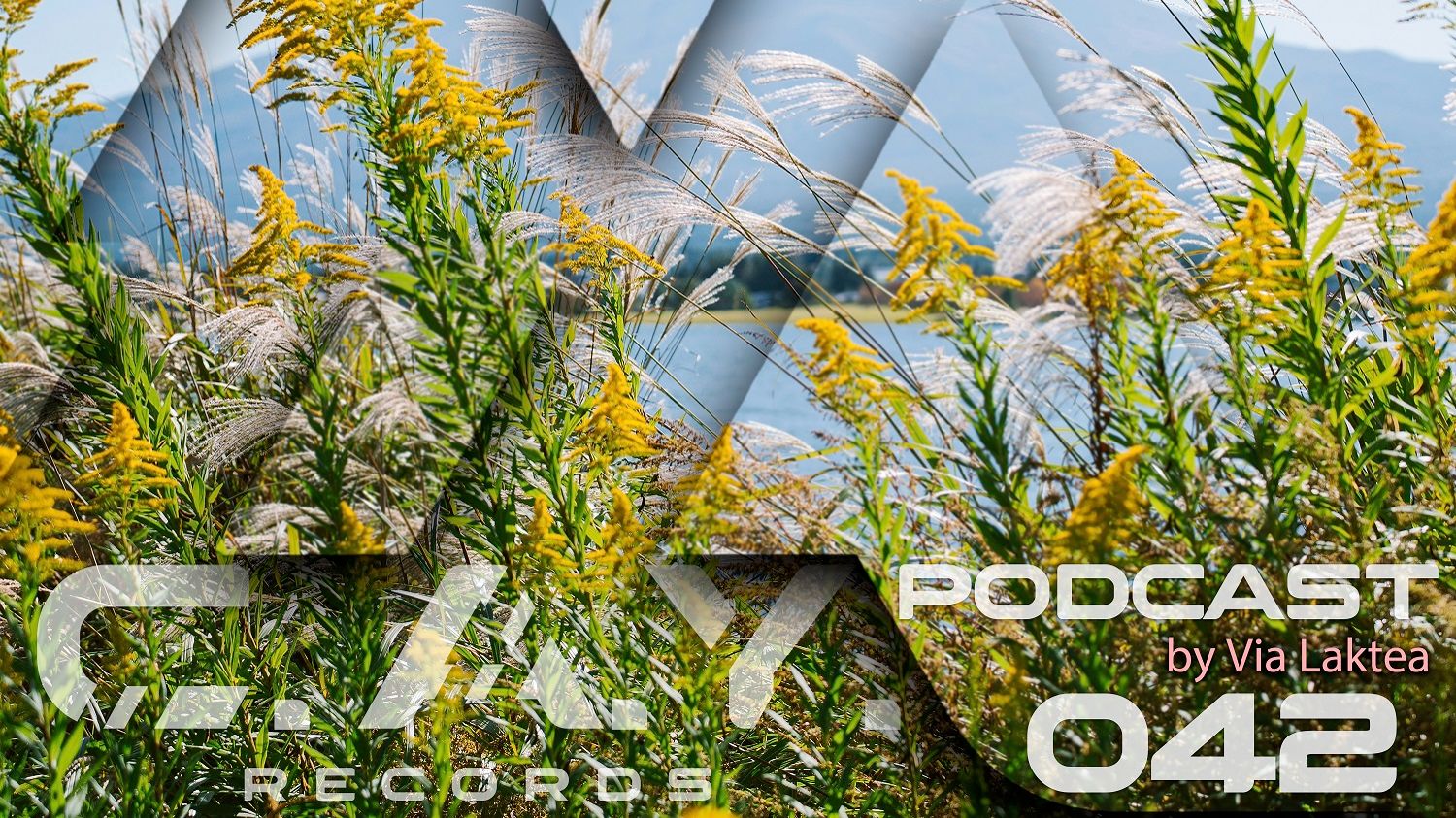 (042) C.A.Y. Records podcast by Via Laktea