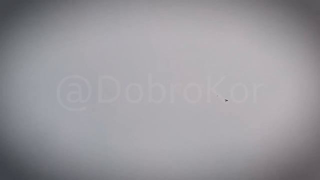 Очередной эпизод применения «Ёлки» по БПЛА.