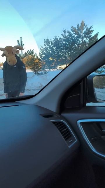 лосиный тест на вольво
#вольво #volvo #прикол #шутка #юмор #авто #автомобили #обзоравто #тестдрайв