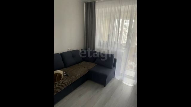 -7811857375253534785