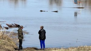 Один из поселков Тюменской области подтопило из-за паводков
