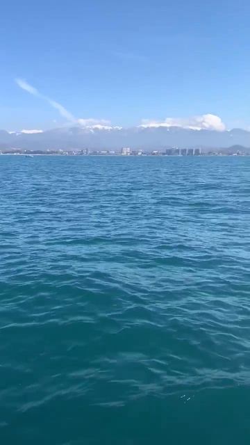 Подарок моря