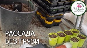 РАССАДА БЕЗ ГРЯЗИ